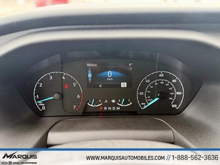 2023 Ford Transit Cargo Van in Matane, Quebec - 5 - w320h240px