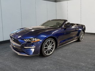 Ford Mustang Convertible 2019
