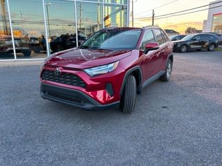 2025 Toyota RAV4 XLE AWD