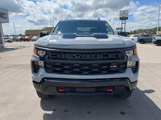 2024 Chevrolet Silverado 1500 in Taber, Alberta - 5 - w320h240px