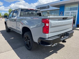 2024 Chevrolet Silverado 1500 in Taber, Alberta - 2 - w320h240px