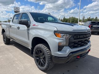 2024 Chevrolet Silverado 1500 in Taber, Alberta - 3 - w320h240px