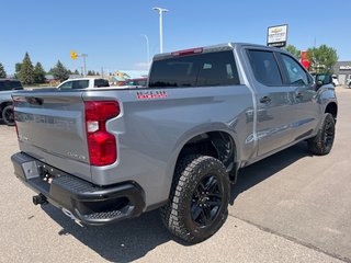 2024 Chevrolet Silverado 1500 in Taber, Alberta - 4 - w320h240px