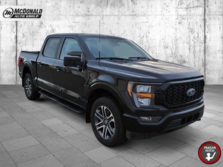 2023 Ford F-150 STX in Taber, Alberta - 5 - w320h240px