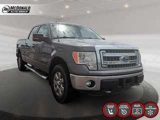 2014 Ford 4Wd F-150 FX4 in Taber, Alberta - 5 - w320h240px