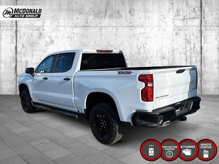 2025 Chevrolet Silverado 1500 in Taber, Alberta - 3 - w320h240px