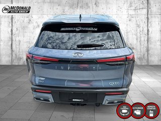 2024 Infiniti QX60 in Taber, Alberta - 4 - w320h240px
