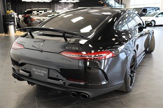 2024 Mercedes-Benz AMG GT53 4MATIC+ Coupe (4-door)