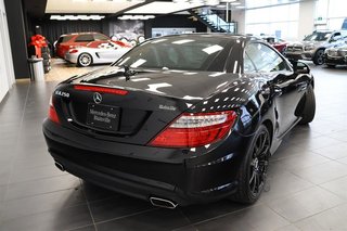 2014 Mercedes-Benz SLK250 Roadster Auto