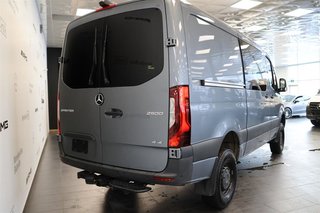 2020 Mercedes-Benz Sprinter 4x4 2500 Cargo 144