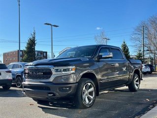 2019 Ram RAM 1500 Crew Cab 4x4 (dt) Limited SWB