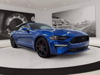 Ford Mustang  2018 à Québec, Québec - 3 - w320h240px
