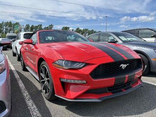 Ford Mustang  2022 à Québec, Québec - 3 - w320h240px