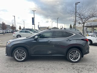 2025 Lexus NX 350h Base