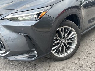 2025 Lexus NX 350h Base