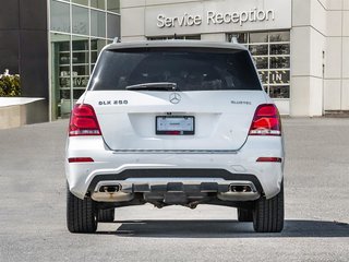 2015 Mercedes-Benz GLK250 BlueTEC 4MATIC SUV