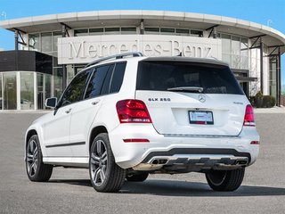 2015 Mercedes-Benz GLK250 BlueTEC 4MATIC SUV