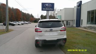 2023  ASCENT Limited in Minden, Ontario - 3 - w320h240px