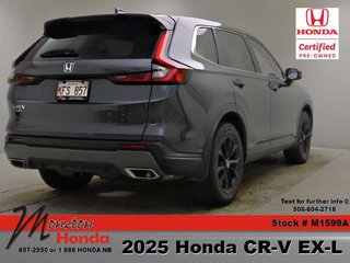 2025 Honda CR-V Hybrid in Antigonish, Nova Scotia - 6 - w320h240px