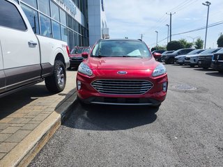 2021 Ford Escape in Brossard, Quebec - 3 - w320h240px