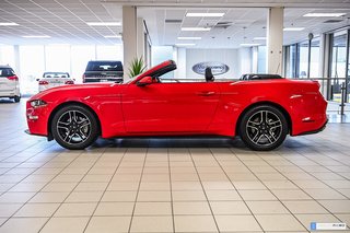 2023 Ford Mustang convertible in Brossard, Quebec - 4 - w320h240px
