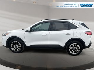 Ford Escape SEL 2020 à Sainte-Catherine, Québec - 6 - w320h240px