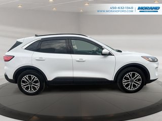 Ford Escape SEL 2020 à Sainte-Catherine, Québec - 2 - w320h240px