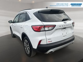 Ford Escape SEL 2020 à Sainte-Catherine, Québec - 5 - w320h240px