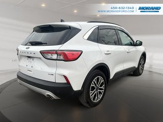 Ford Escape SEL 2020 à Sainte-Catherine, Québec - 3 - w320h240px