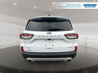 Ford Escape SEL 2020 à Sainte-Catherine, Québec - 4 - w320h240px