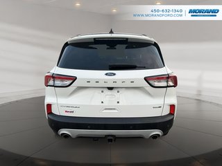 Ford Escape Titanium 2020 à Sainte-Catherine, Québec - 4 - w320h240px