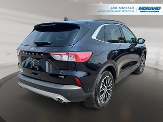 Ford Escape Titanium Plug-In Hybrid 2021 à Sainte-Catherine, Québec - 3 - w320h240px