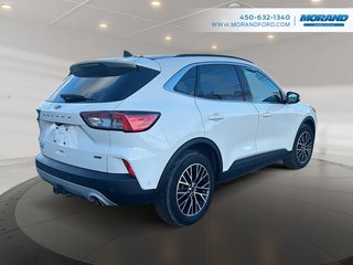 Ford Escape Titanium Plug-In Hybrid 2022 à Sainte-Catherine, Québec - 3 - w320h240px