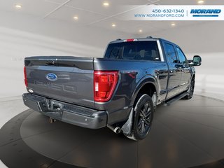 Ford F-150 XLT 2022 à Sainte-Catherine, Québec - 3 - w320h240px