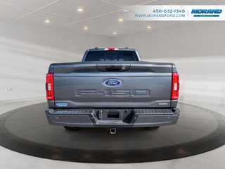 Ford F-150 XLT 2022 à Sainte-Catherine, Québec - 6 - w320h240px