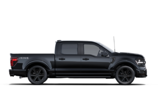 2025 Ford F-150 STX in Sainte-Catherine, Quebec - 5 - w320h240px