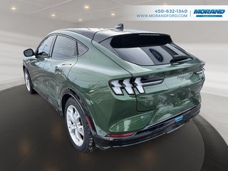 2024 Ford Mustang Mach-E Premium in Sainte-Catherine, Quebec - 6 - w320h240px