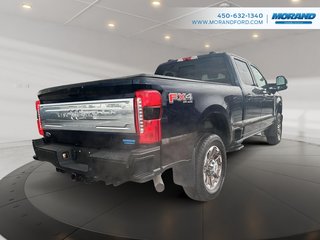 Ford Super Duty F-250 SRW  2024 à Sainte-Catherine, Québec - 3 - w320h240px