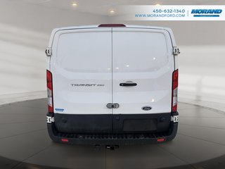 Ford Transit Cargo Van  2024 à Sainte-Catherine, Québec - 4 - w320h240px