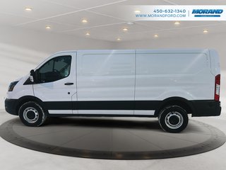 Ford Transit Cargo Van  2024 à Sainte-Catherine, Québec - 5 - w320h240px