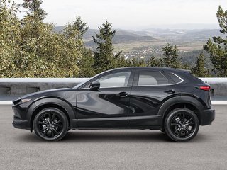 2025 Mazda CX-30 GT Turbo Engine