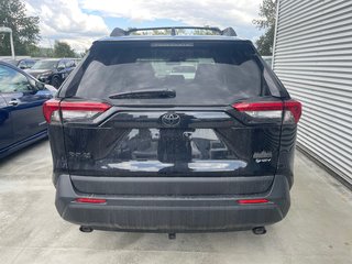 2025 Toyota RAV4 HYBRID XLE WOODLAND EDITION