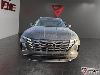 Hyundai Tucson Hybrid Luxury hybrid AWD *CUIR, TOIT, NAVI* 2023 à Rivière-du-Loup, Québec - 2 - w320h240px