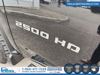 Chevrolet SILVERADO 2500H 4WD CREW 159 2022 à Chicoutimi, Québec - 6 - w320h240px