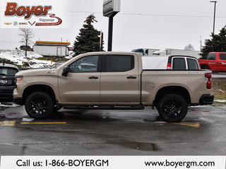 2023 Chevrolet Silverado 1500 in Napanee, Ontario - 5 - w320h240px