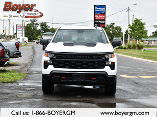 2024 Chevrolet Silverado 1500 in Pickering, Ontario - 3 - w320h240px