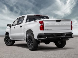 2025 Chevrolet Silverado 1500 in Pickering, Ontario - 4 - w320h240px