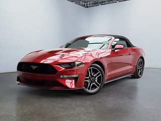 2020 Ford Mustang EcoBoost Convertible in Laval, Quebec - 4 - w320h240px