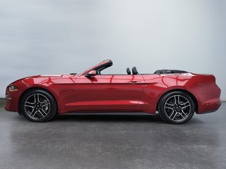 2020 Ford Mustang EcoBoost Convertible in Laval, Quebec - 2 - w320h240px
