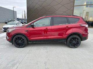2017 Ford Escape SE in Winnipeg, Manitoba - 2 - px